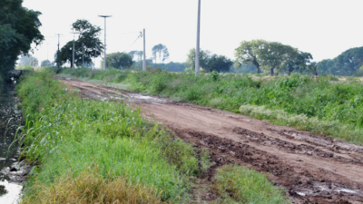 La lluvia y la falta de gasoil frenaron la cosecha de algodón