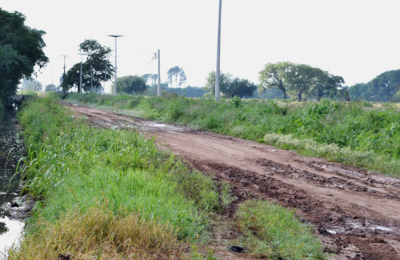 La lluvia y la falta de gasoil frenaron la cosecha de algodón