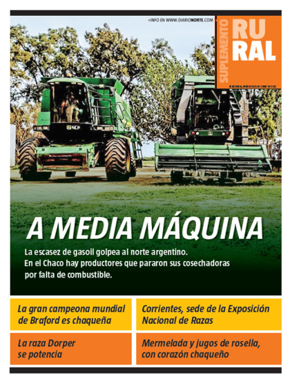 A MEDIA MÁQUINA