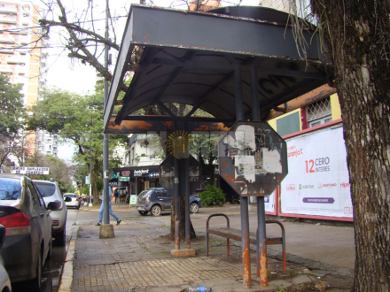 colectivo.jpg
