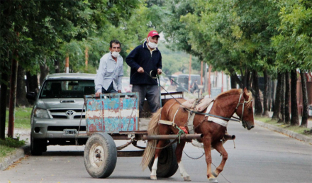 caballos.jpg