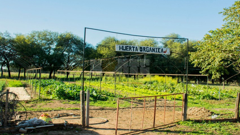 La escuela agrotécnica de Pampa del Infierno en pleno auge