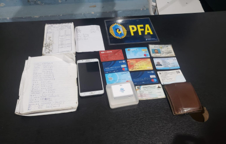 pfa.jpg copy