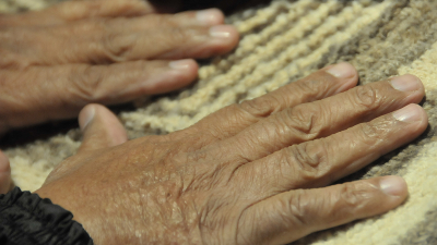La transformación de la cultura marca nuestra identidad como chaqueños