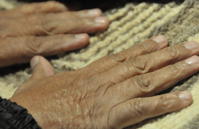 La transformación de la cultura marca nuestra identidad como chaqueños