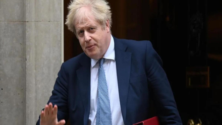 boris.jpg