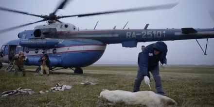 oso ruso6.jpg