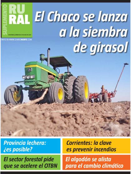 El Chaco se lanza a la siembra de girasol
