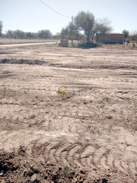 Rio Muerto denuncia terreno 1.jpg