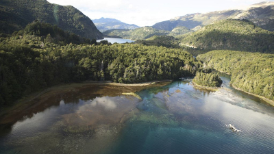 ¿Qué son los "baños de bosques"? Una tendencia que crece en Chile y en Argentina