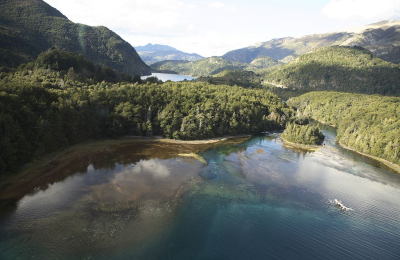 ¿Qué son los "baños de bosques"? Una tendencia que crece en Chile y en Argentina