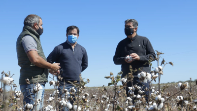 Capitanich: "El Chaco tendrá un desarrollo textil extraordinario"
