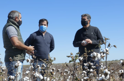 Capitanich: "El Chaco tendrá un desarrollo textil extraordinario"
