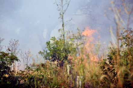 fuego4 .JPG