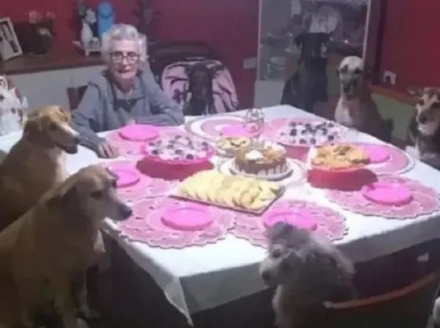 abuela perros.JPG