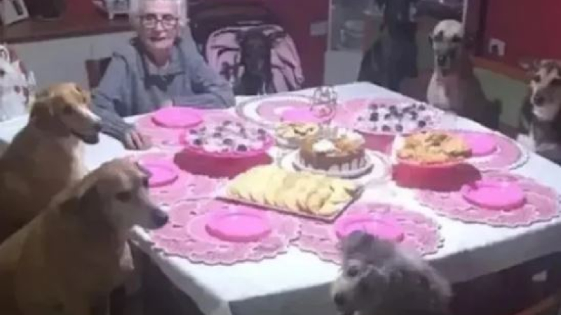 El cumpleaños de una abuela rodeada de sus perros que causa furor en las redes