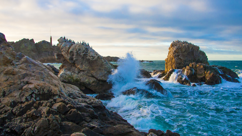Tres Puertos, Tres Parques: conexión única entre cultura y naturaleza patagónica