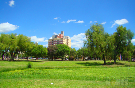 pronostico.jpg
