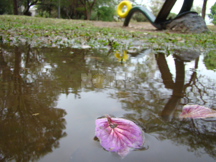 lluvia septiembre 2.JPG