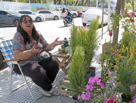 Maria Luisa florista.JPG