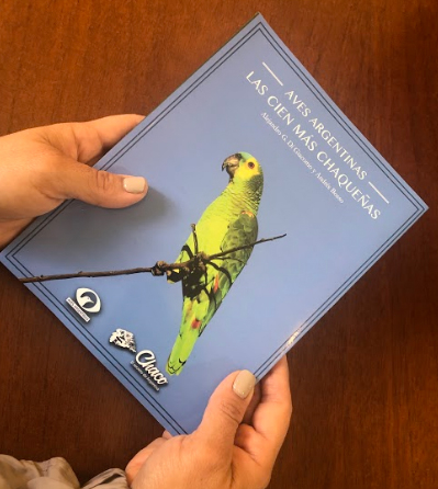 aves7.jpg