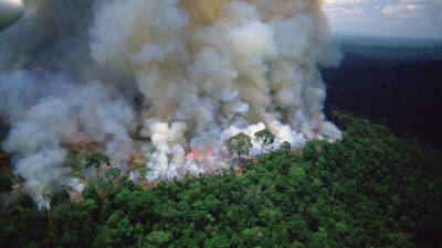 Deforestación en la Amazonia brasileña marca récord en septiembre 