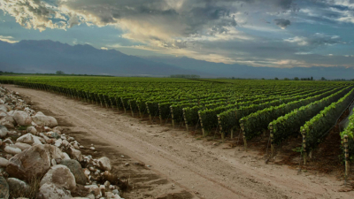 Más de 60 expertos internacionales eligen las mejores bodegas del mundo