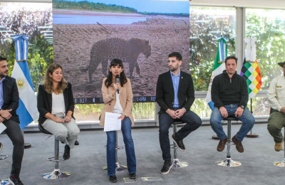 El Chaco tiene dos nuevos ejemplares de yaguareté