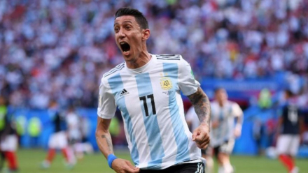 dimaria01.jpg