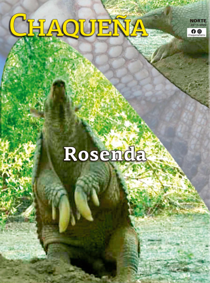 Rosenda