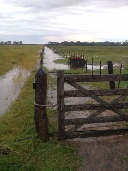 Du-Graty-lluvia.jpg