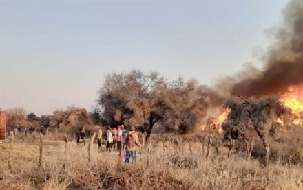 incendios.jpg