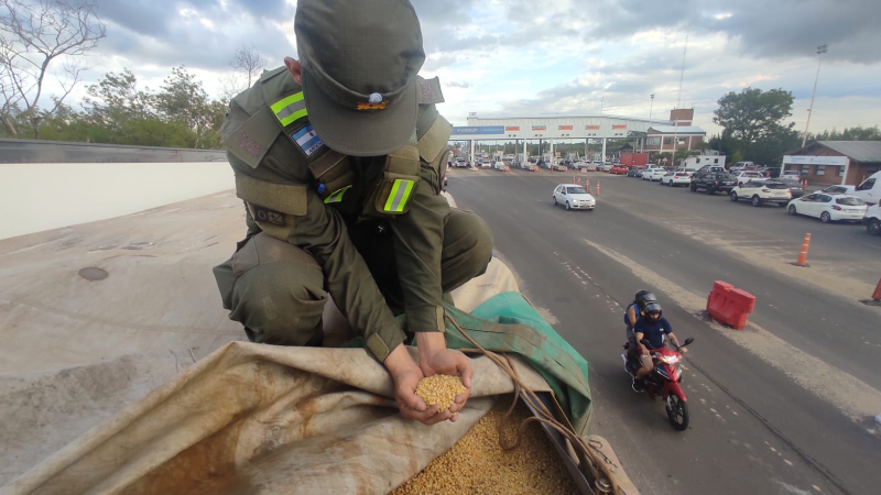 Gendarmería secuestró 30 toneladas de soja sin aval legal