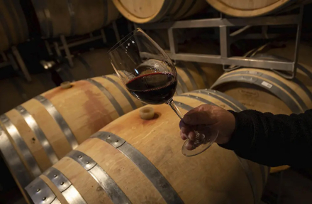 vino copa2.jpg
