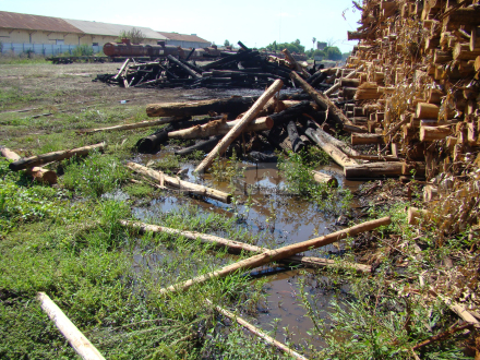 INCENDIO12.JPG