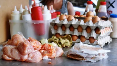 Shigella y salmonella: cómo evitar las bacterias