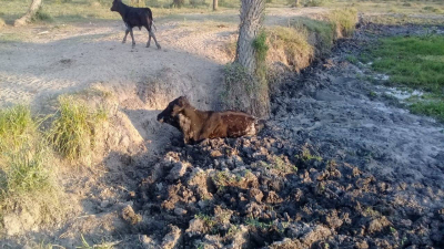 Referentes de la agricultura familiar piden salir del asistencialismo para empezar a producir