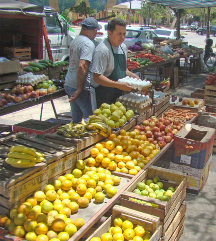 alimentacion3.jpg