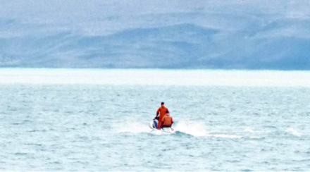 calafate.jpg