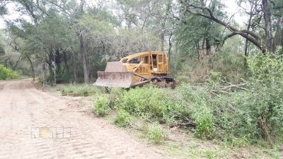 "El objetivo es lograr que el deforestar sea un delito penal"