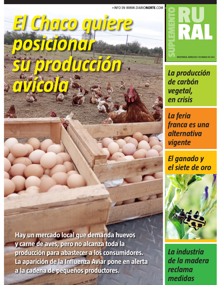 El Chaco quiere posicionar su producción avícola 