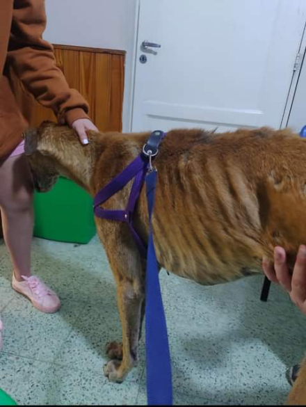 WhatsApp Image 2023-03-01 at 11.50.28.jpeg