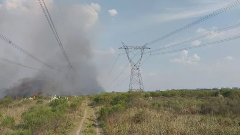 Un incendio de campos fue la causa del corte masivo de energía en gran parte del país