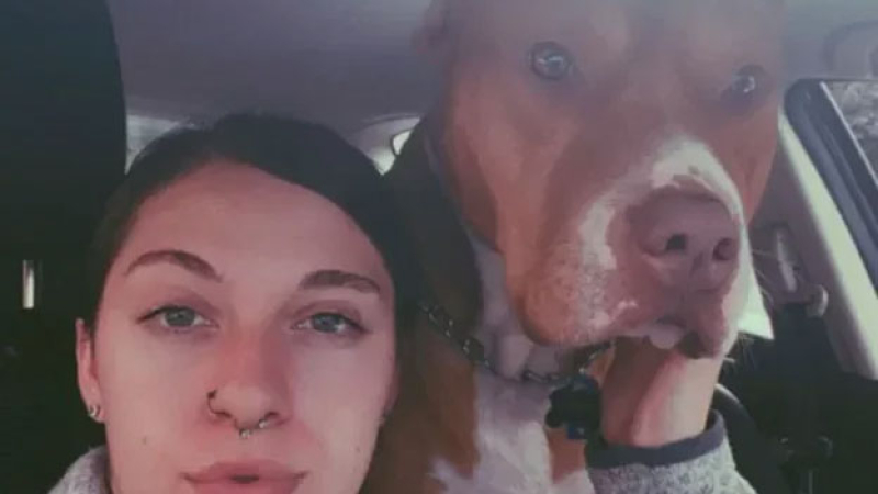 Un perro le mordió la nariz y ahora le crecen pelos en la cara