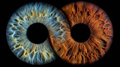 De la mente y de la materia