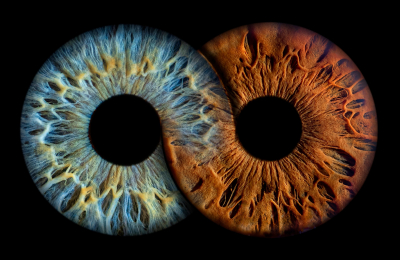 De la mente y de la materia