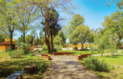 Festival por la creación del Parque Nacional Laguna El Palmar