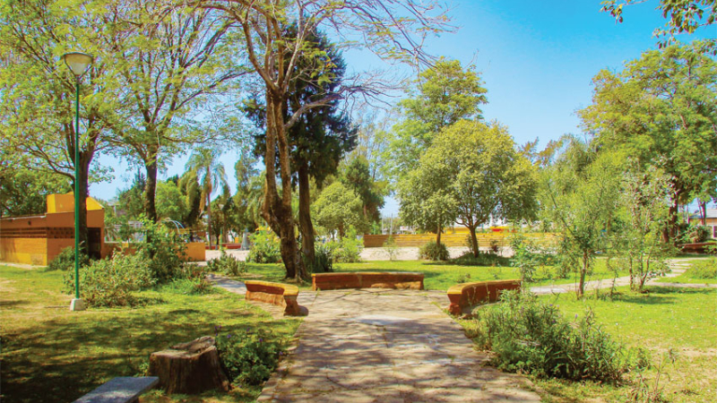 Festival por la creación del Parque Nacional Laguna El Palmar