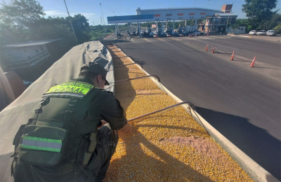 Maíz y soja, por las rutas chaqueñas con destino al exterior