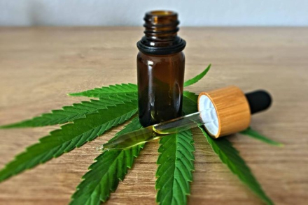 brasil cannabis2.jpg